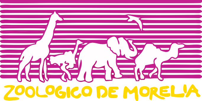Logo Zoo